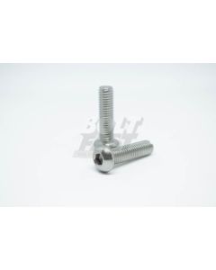 ISO 7380-1 HEXAGON SOCKET BUTTON HEAD CAP SCREW TYPE 1 S/STEEL 304