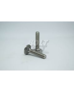 DIN 603 MUSHROOM HEAD SQUARE NECK BOLT S/STEEL 304